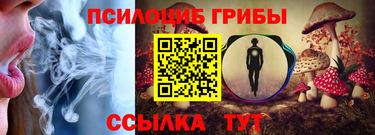 Ханты-Мансийск  Галлюциногенные грибы Psilocybe  Вход с VPN 